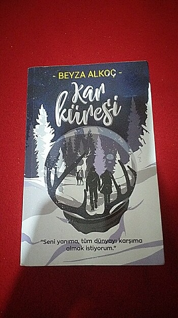 Beyza Alkoç Kar Küresi