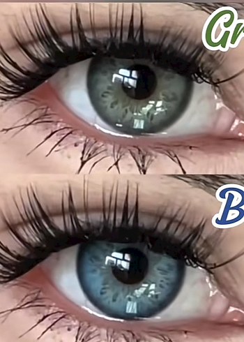 Lens yıllık - Görsel 12