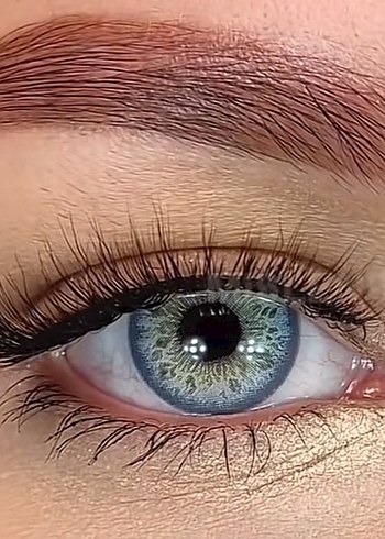 Lens yıllık - Görsel 13