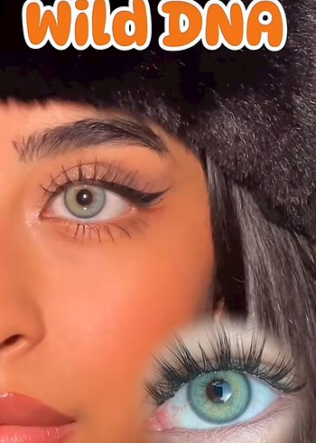 Lens yıllık - Görsel 16