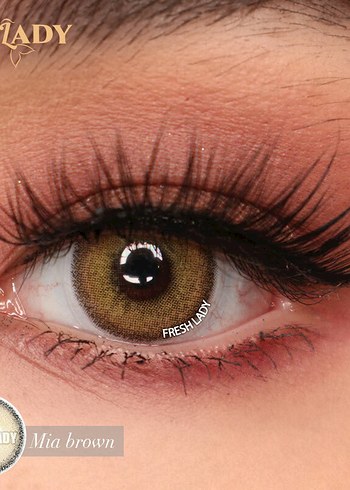 Lens yıllık - Görsel 9