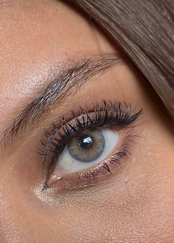 Gri Fresh Lady Kontakt Lens - Görsel 3