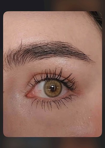 Gri Fresh Lady Kontakt Lens - Görsel 7