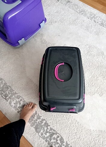 Kedi tasima urunu - Görsel 4