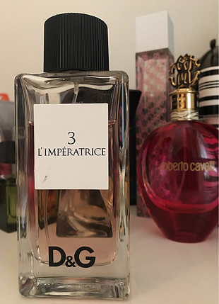 Dolce & Gabbana Dolce Gabana orjinal parfüm