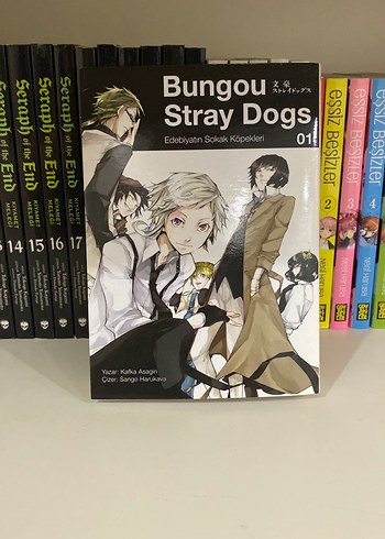 Bungou Stray Dogs