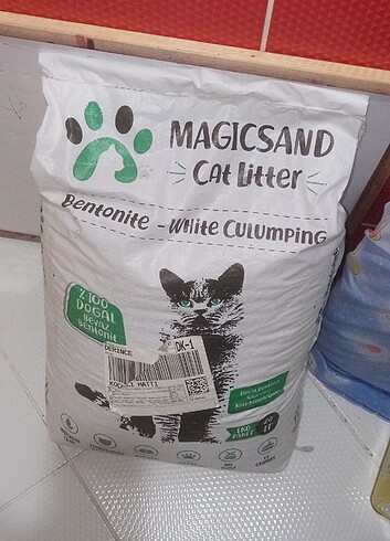 Kedi kumu