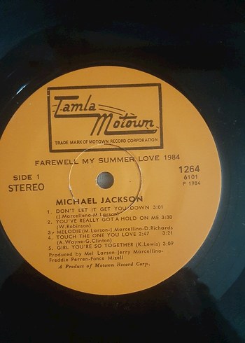 Michael Jackson Summer Love 1984 Plak - Görsel 5