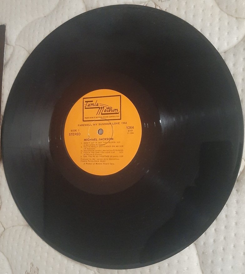 Michael Jackson Summer Love 1984 Plak - Görsel 4