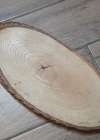 kütük dilimi - Görsel 2