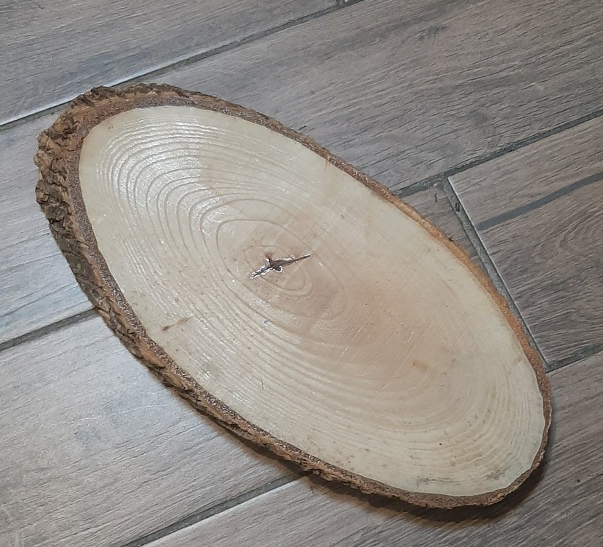 kütük dilimi - Görsel 2