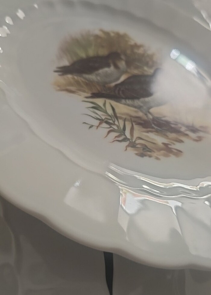 6 tane Eschenbach tabak - Görsel 2