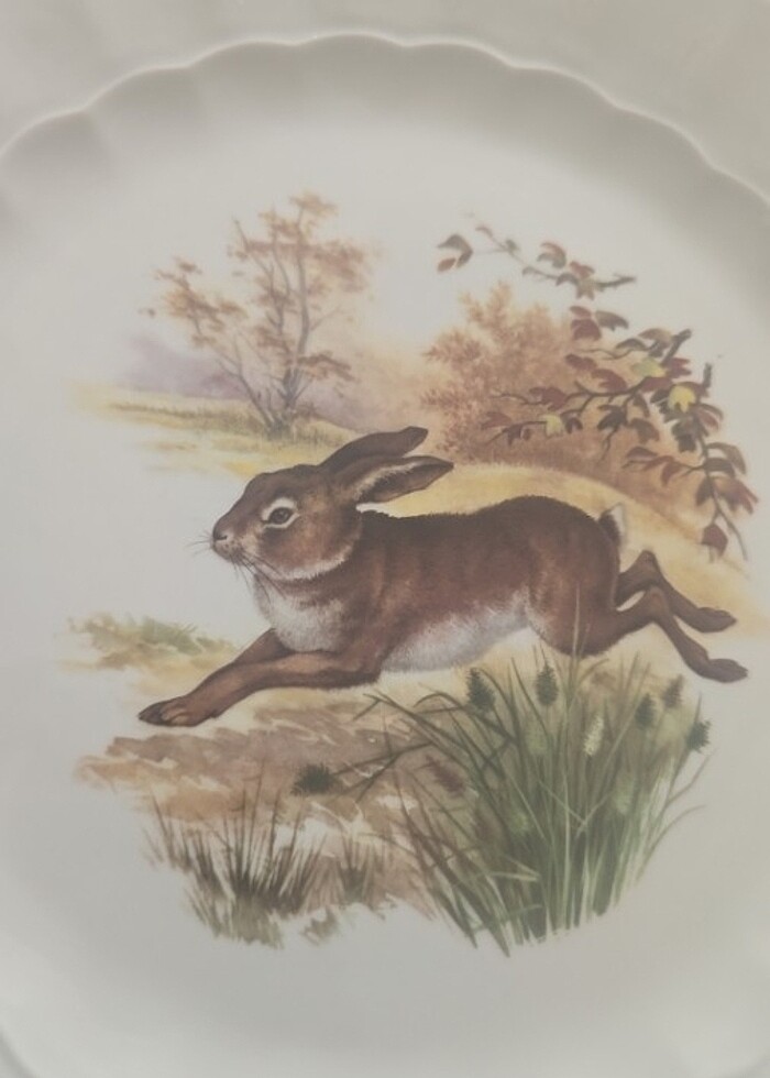 6 tane Eschenbach tabak - Görsel 3