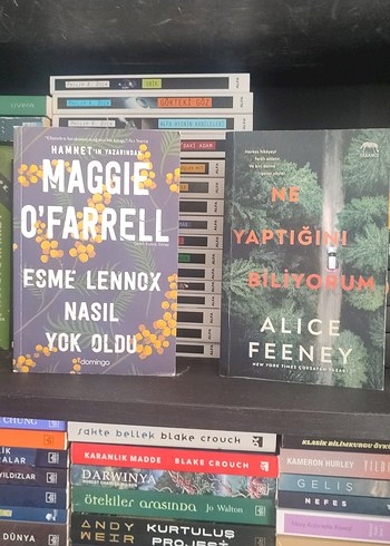 Maggie O'Farrell - Esme Lennox & Alice Feeney - Ne Yaptığını