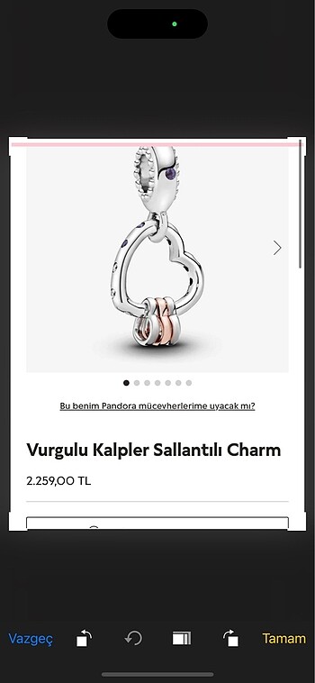 Pandora PANDORA charm