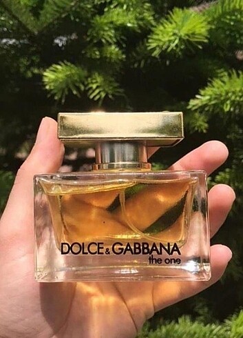 Dolce Gabbana the one 