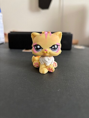 persian kedi takas