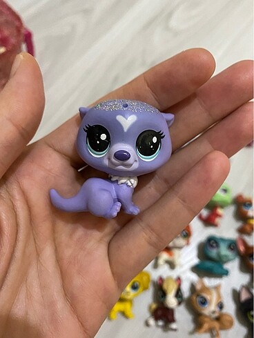 miniş