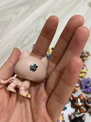 LPS Minişler miniş