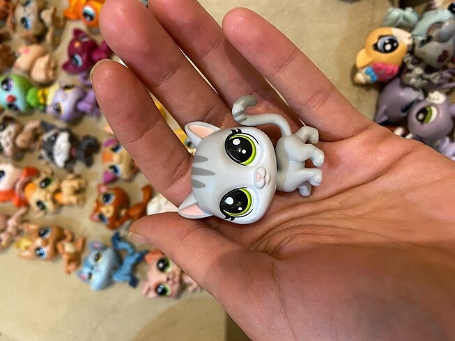 miniş