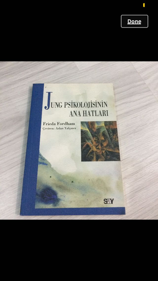 Diğer Jung Psikolojisinin Ana Hatları Kitabı