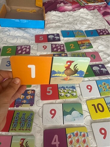 Beden Matematik dominolarım