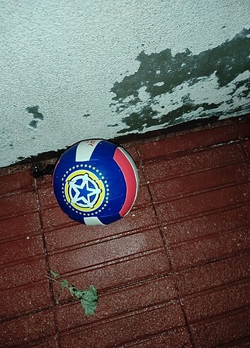 Voleybol topu