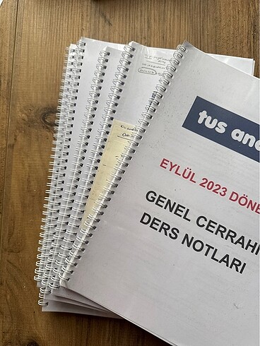  Tus analiz notları