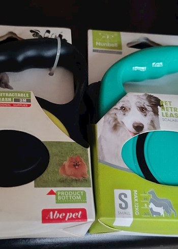 Renkli Küçük Boy Köpek Gezdirme Tasması