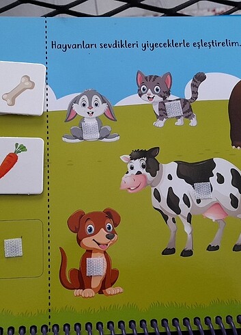  Beden Renk Egitici kitap , cirt cirtli etkinlik kitabi