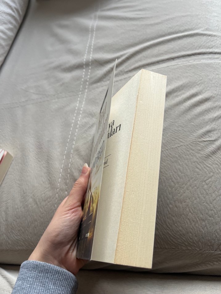 Sigmund Freud - Rüya Yorumları 1 - Görsel 2