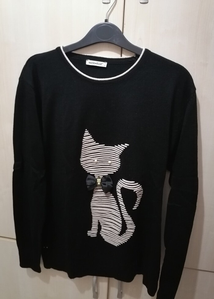 Kedi kazak - Görsel 3