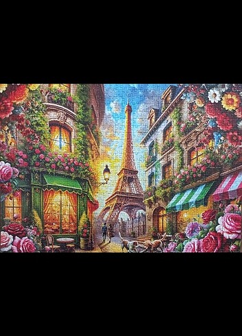 Beden Zoe puzzle