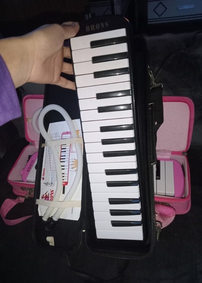 Çantalı melodika - Görsel 3