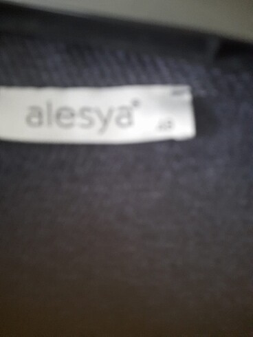 48 Beden Alesya gömlek