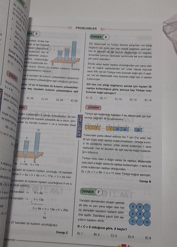 Beden Renk Apotemi Problemler soru bankasi