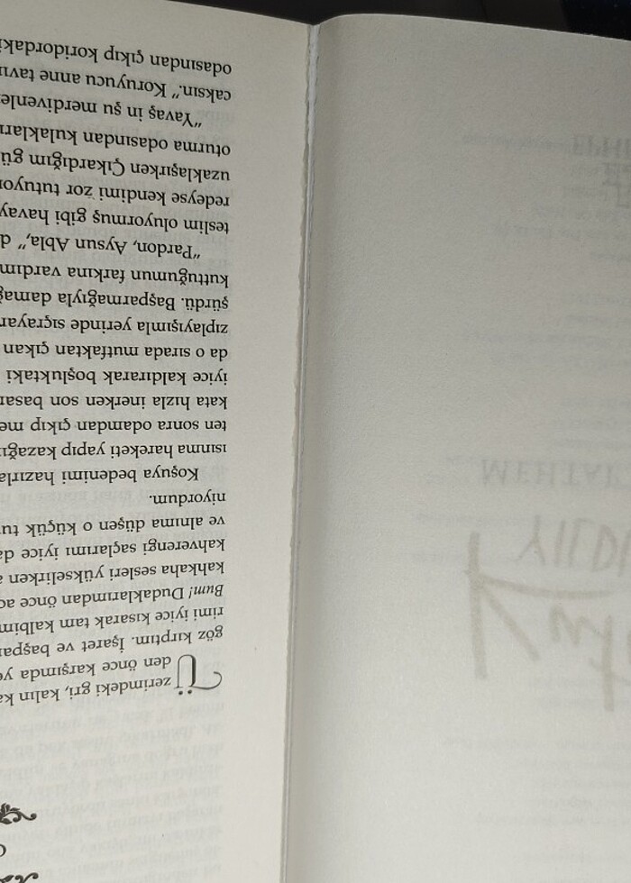 Kutup yıldızı kitap - Görsel 2