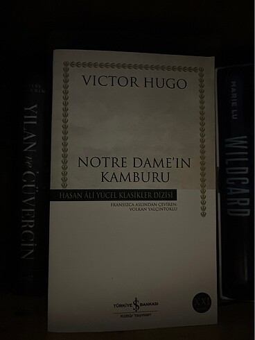 notre damein kamburu kitap Hasan Ali Yücelin klasiklerinden