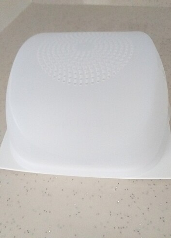 Tupperware peynir dünyası