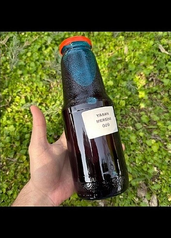 Yaban mersini ozu 