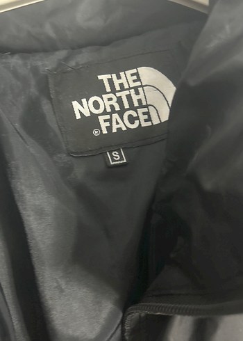 The North Face Siyah Erkek Mont 700 Dolgu - Görsel 2