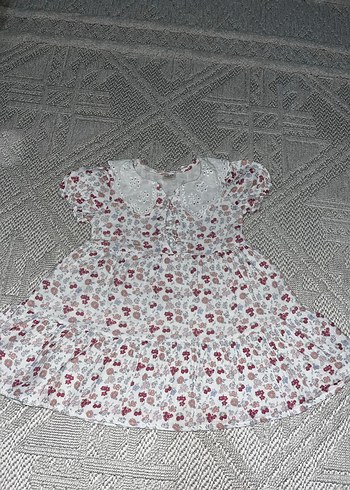 Collection B 24-36 Ay