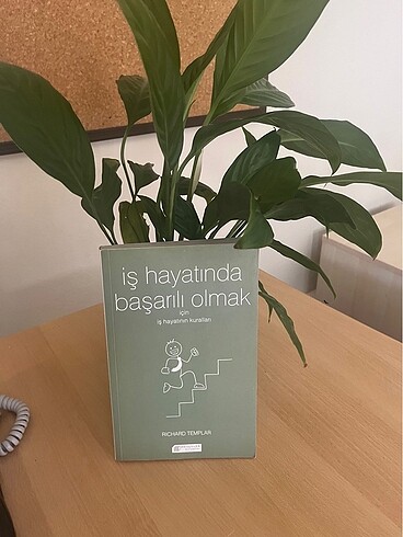 İş Hayatında Başarılı Olmak