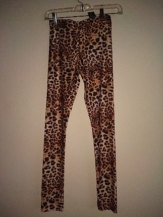 hm leopar