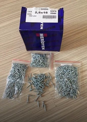 Meridyen 2,5x16 Çinko Sunta Vidası