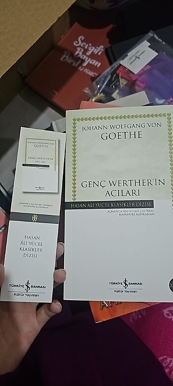 Genç Werther'in Acıları 