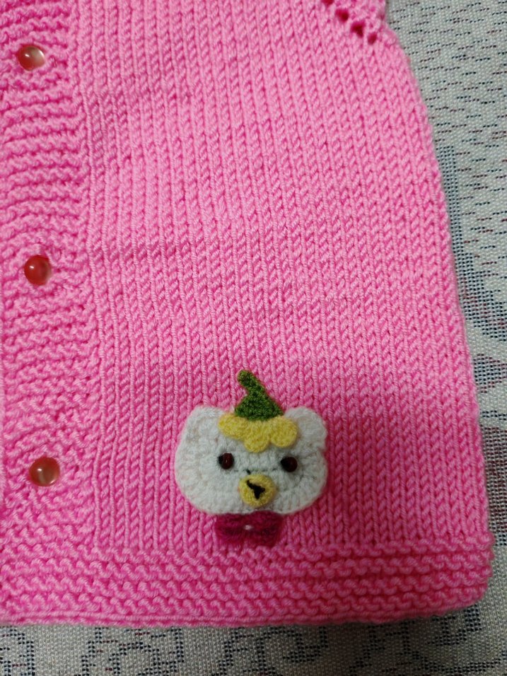 Kız Çocuk Pembe Nakışlı Kolsuz Triko yelek - Görsel 3