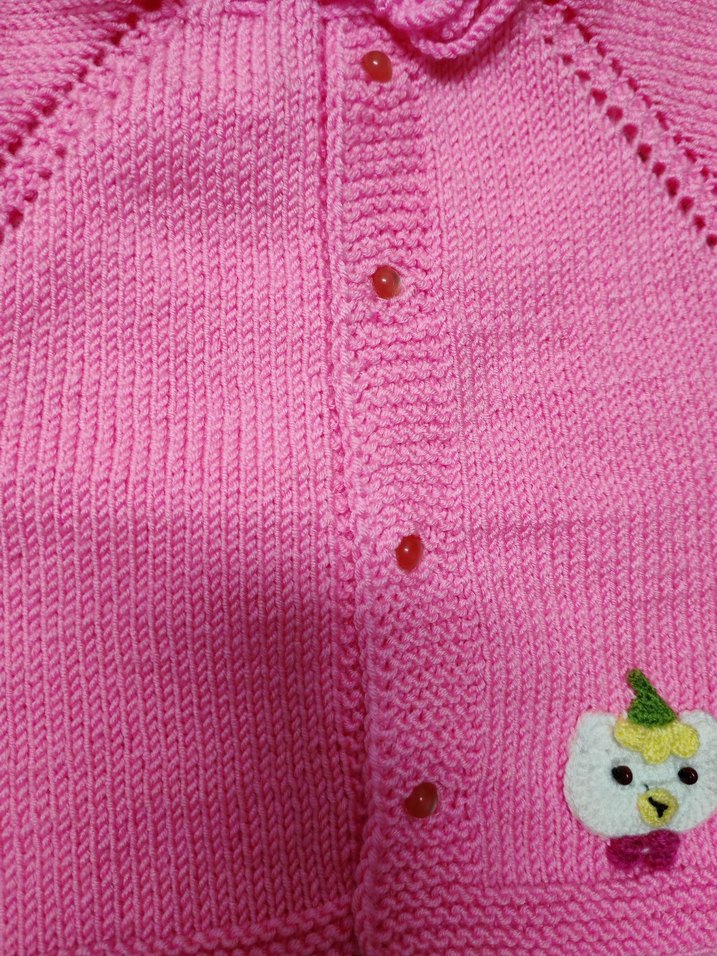 Kız Çocuk Pembe Nakışlı Kolsuz Triko yelek - Görsel 4