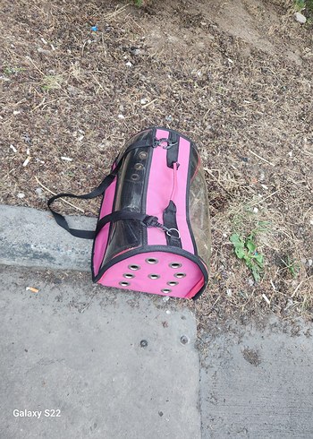 Beden Renk Pembe Renkli Şeffaf Taşıma Çantası