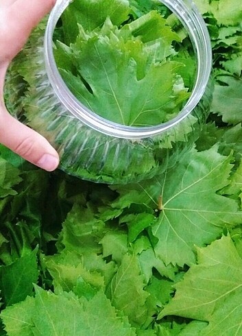 5 kg sarı bidon plastik